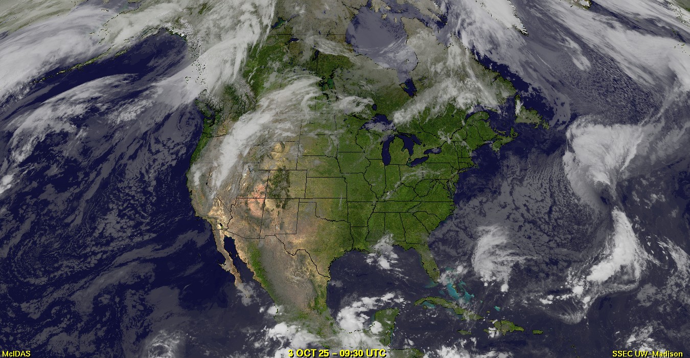 Live Satellite