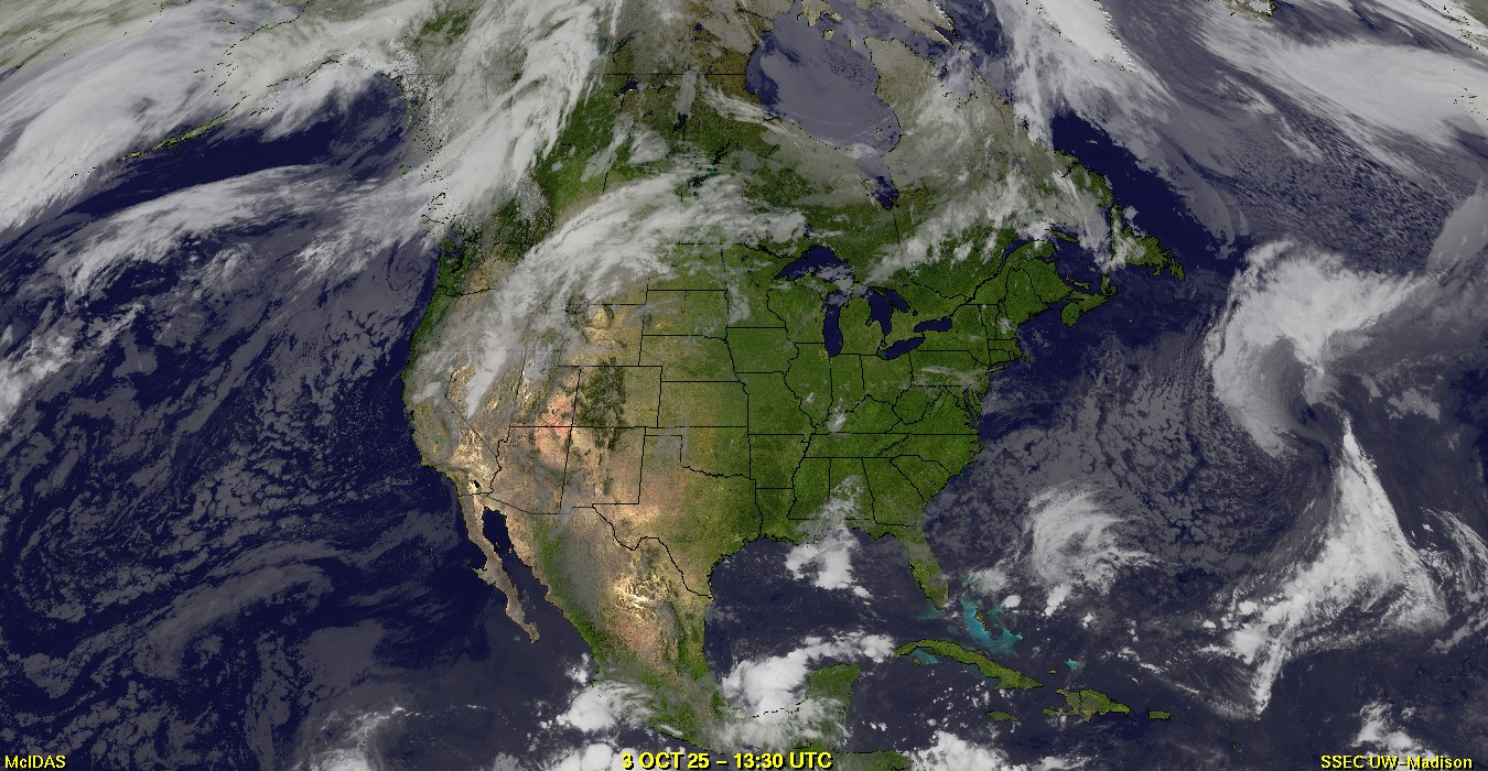 Live Satellite
