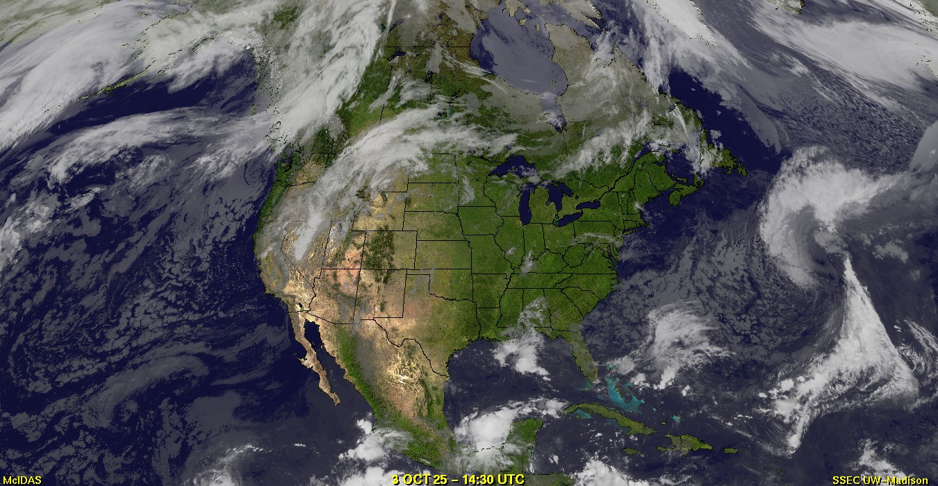 Live Satellite