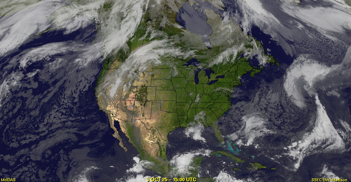 Live Satellite