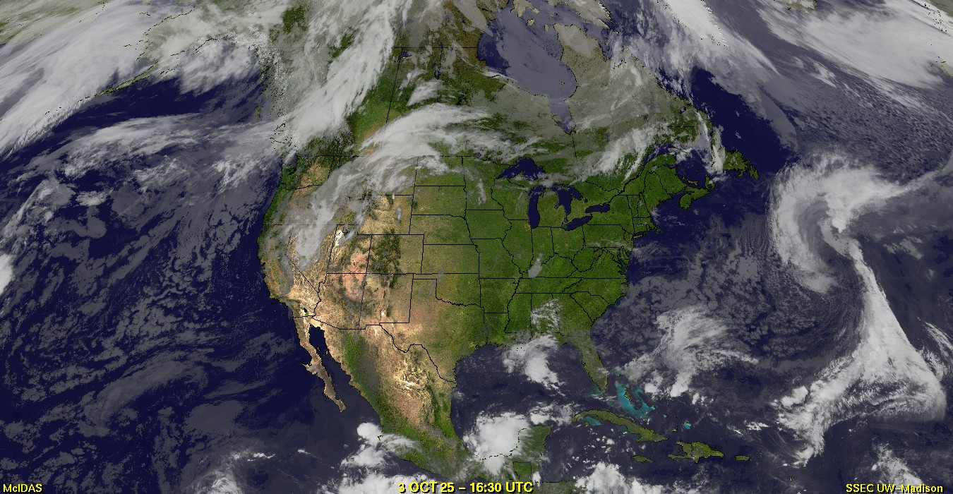 Live Satellite