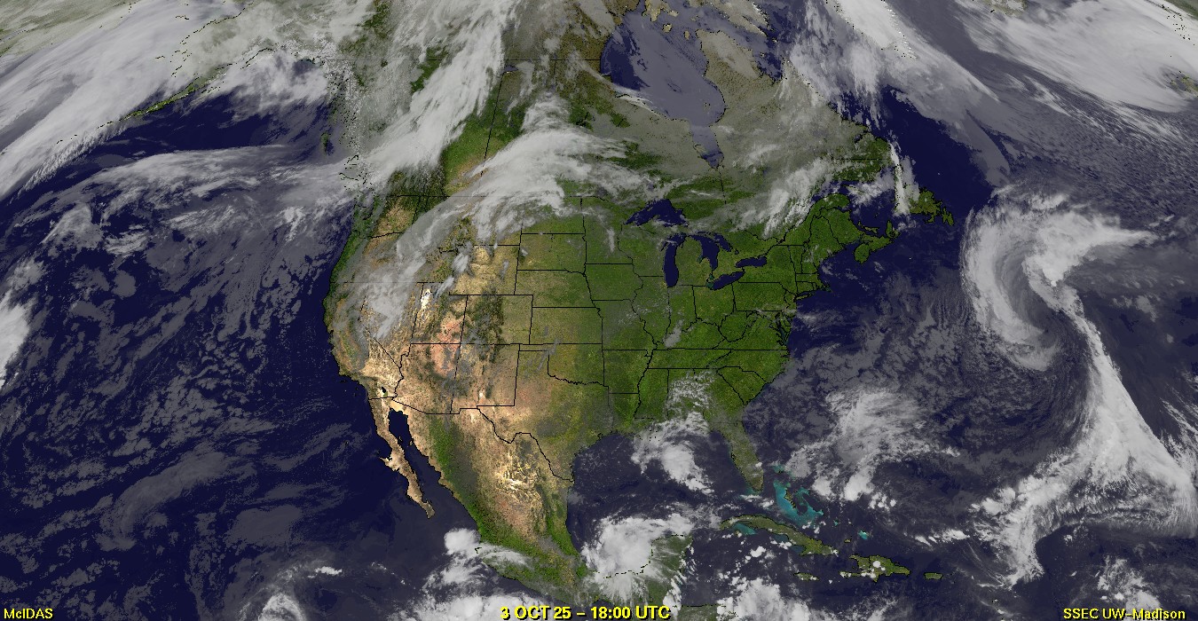 Live Satellite