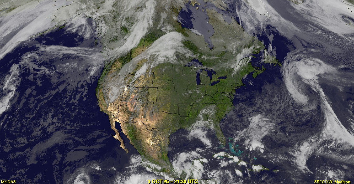 Live Satellite