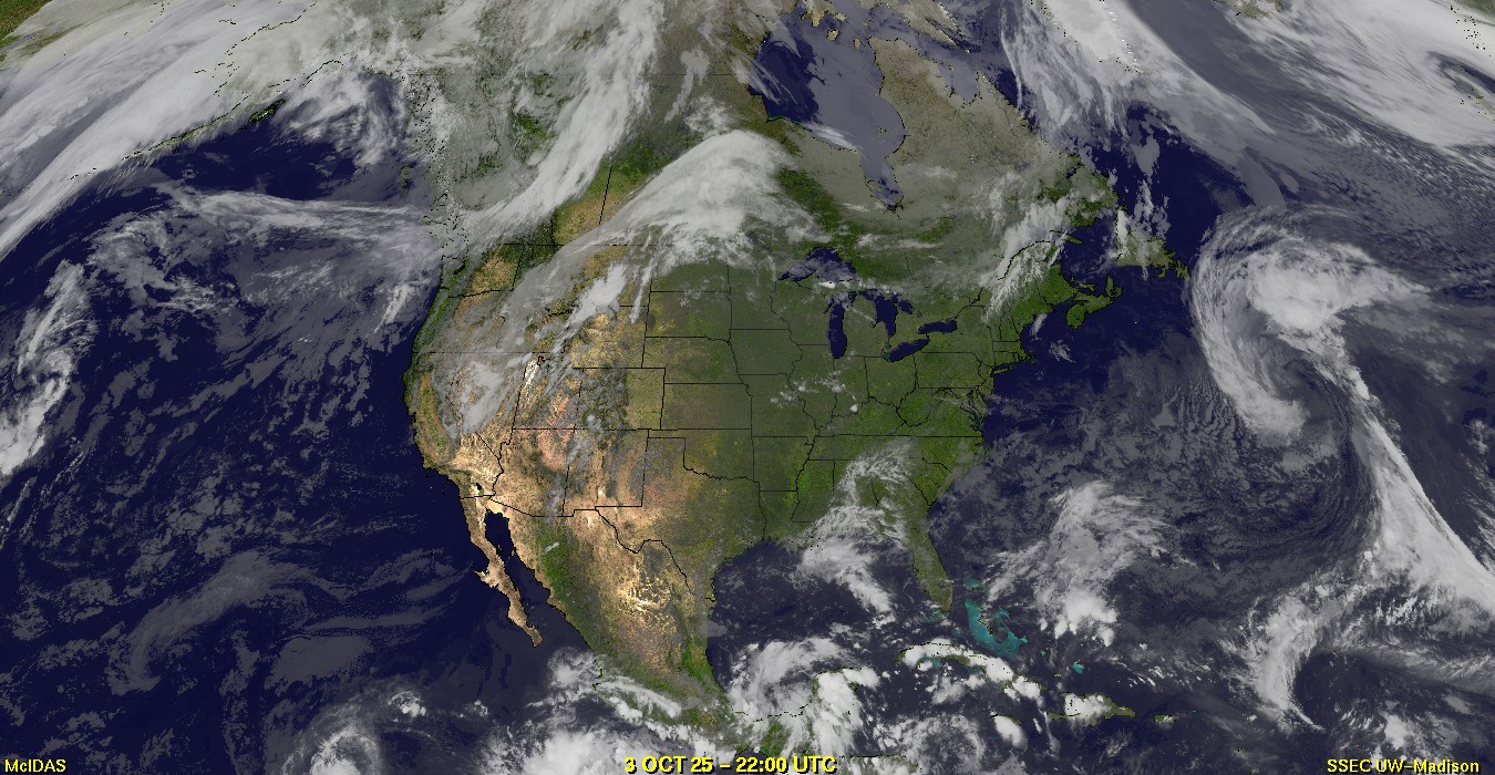 Live Satellite