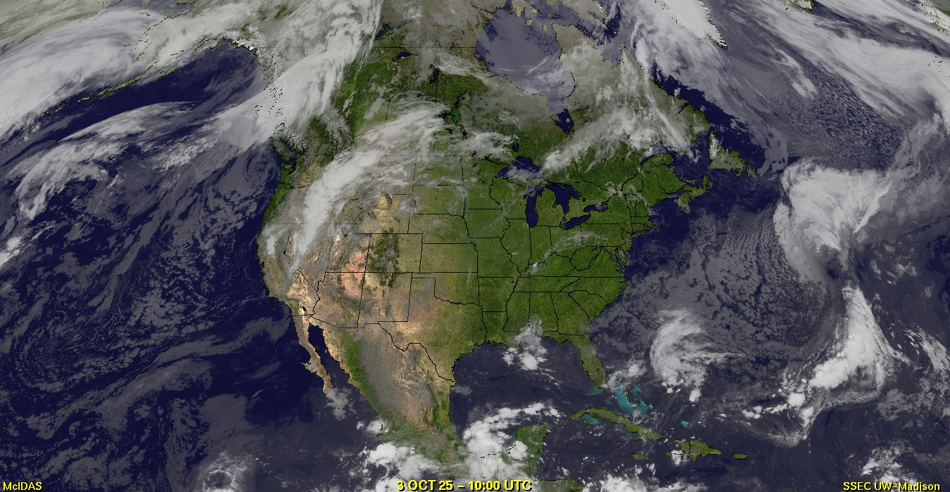 Live Satellite