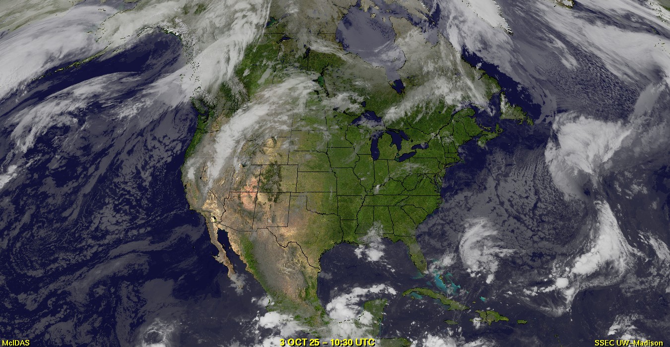 Live Satellite