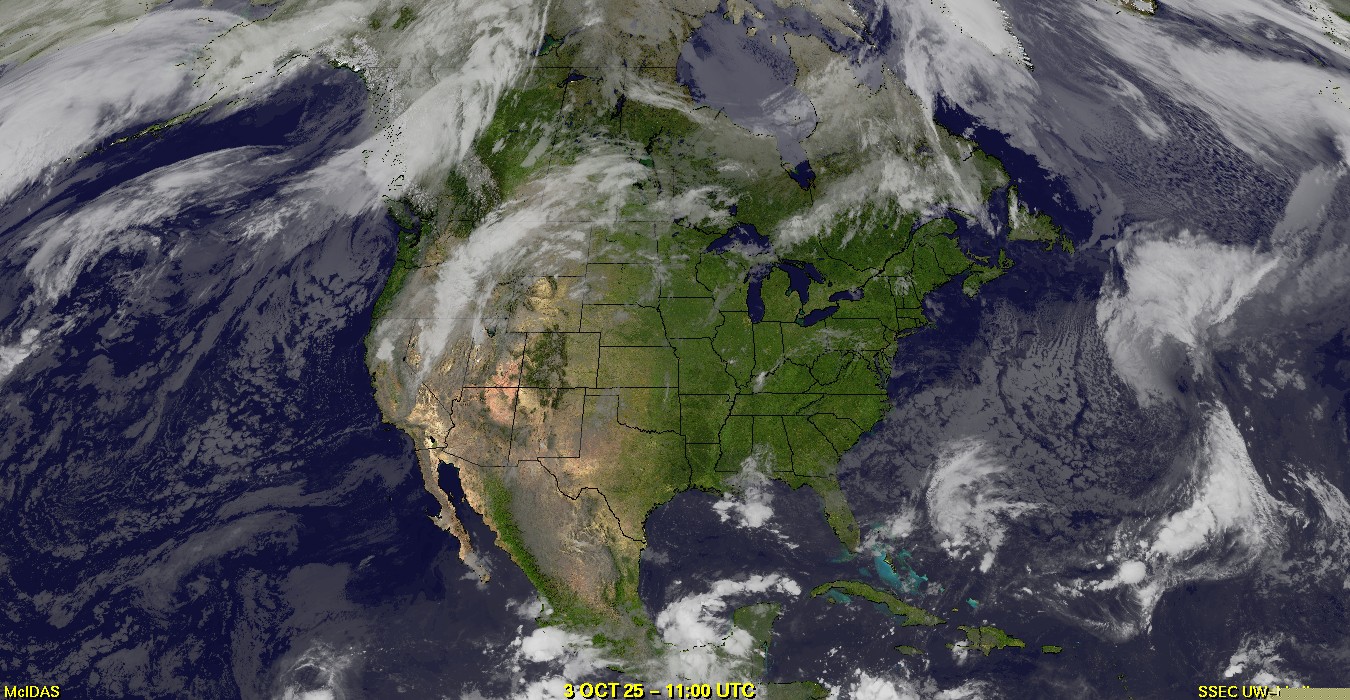 Live Satellite