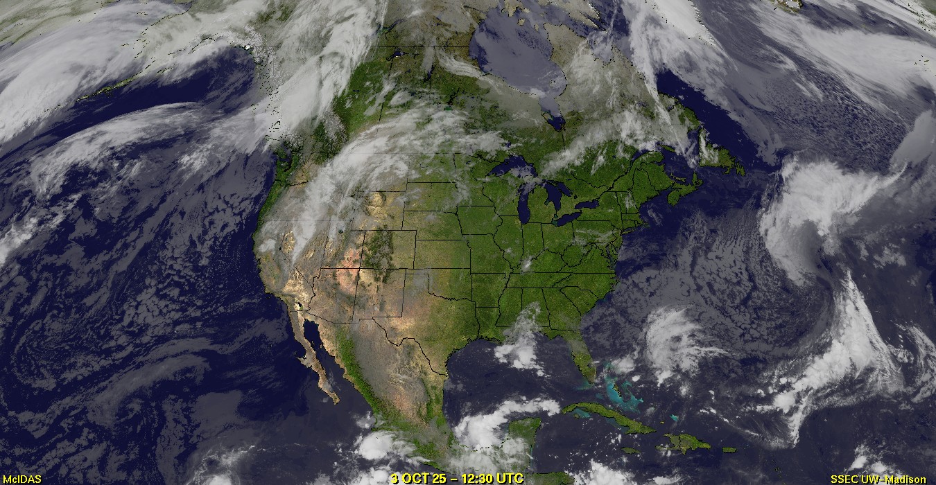 Live Satellite