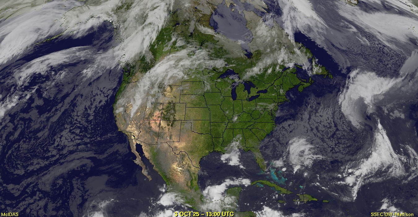 Live Satellite