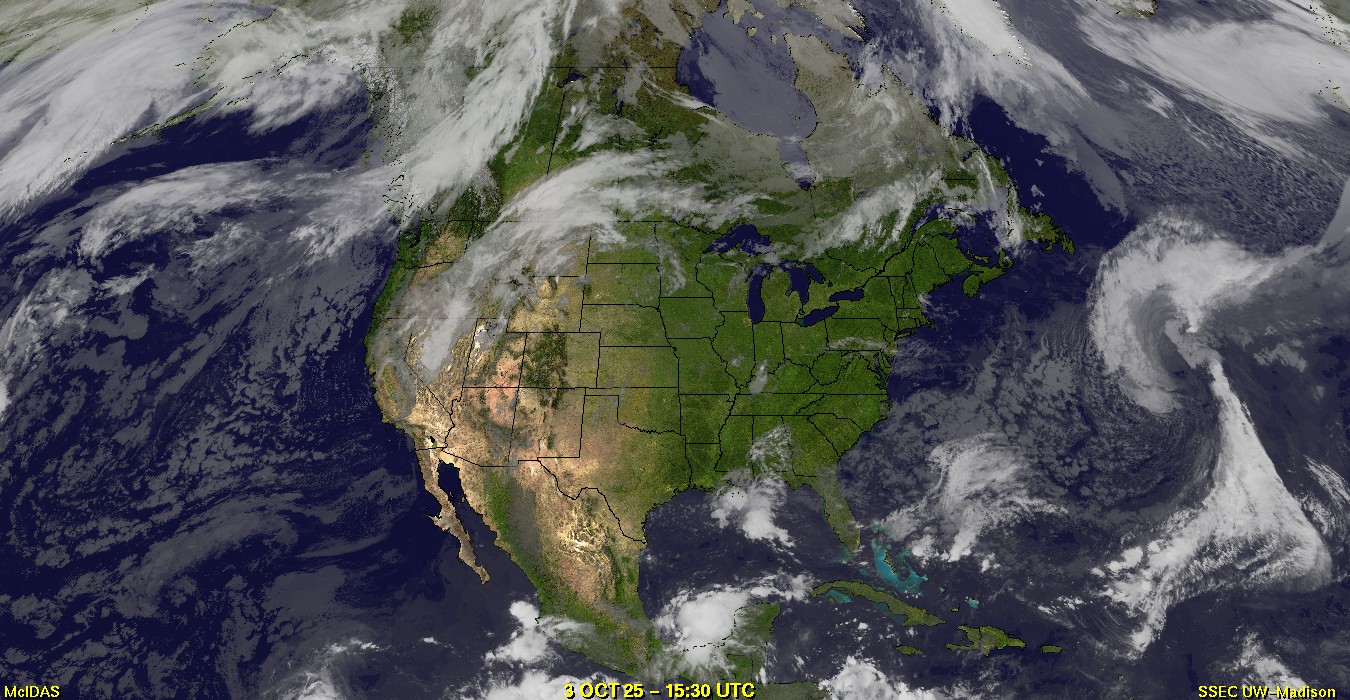 Live Satellite