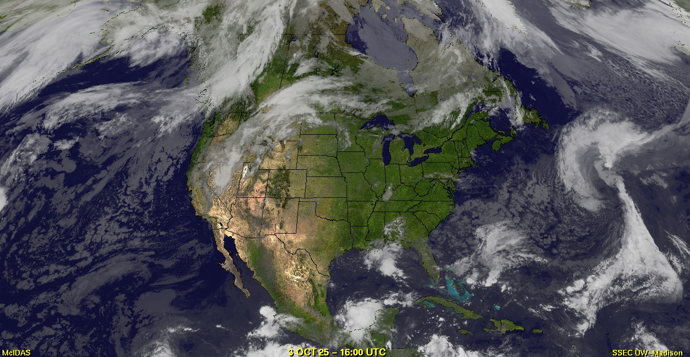 Live Satellite