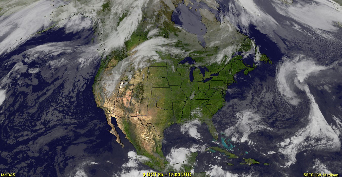 Live Satellite