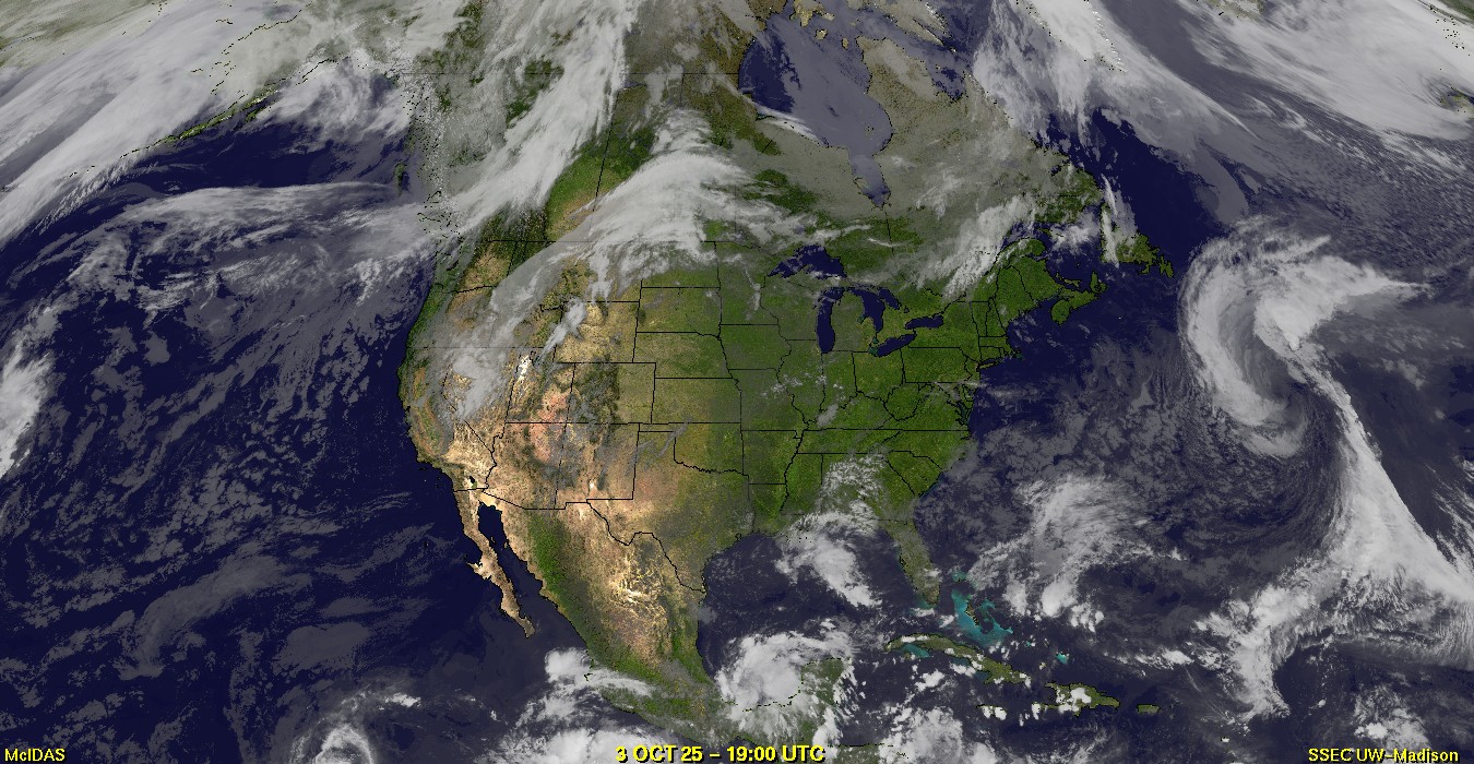 Live Satellite