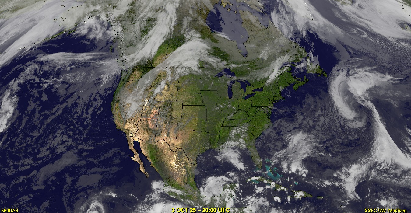 Live Satellite