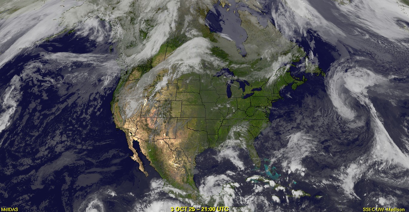 Live Satellite