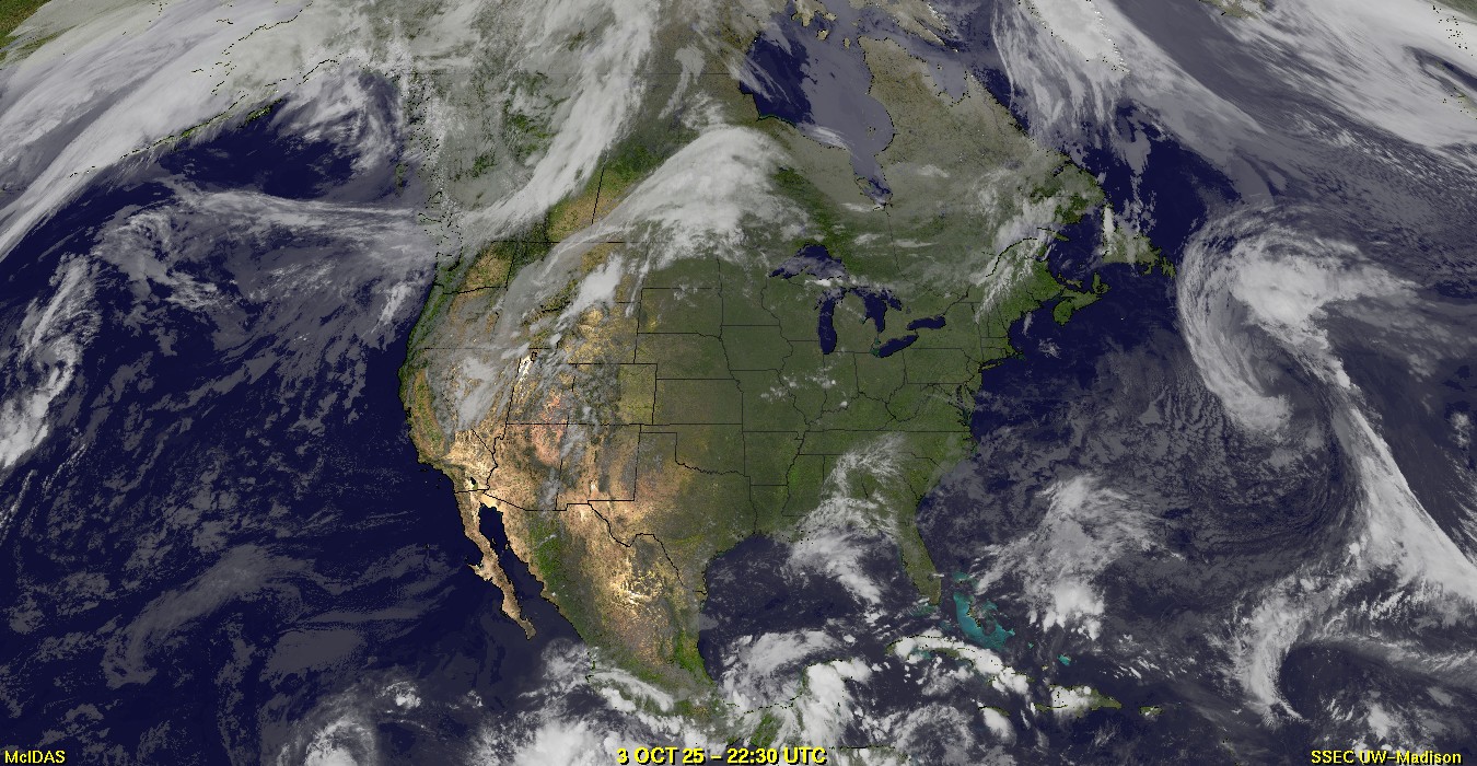 Live Satellite
