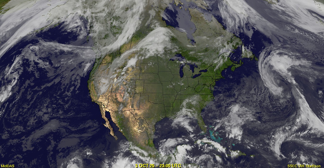 Live Satellite