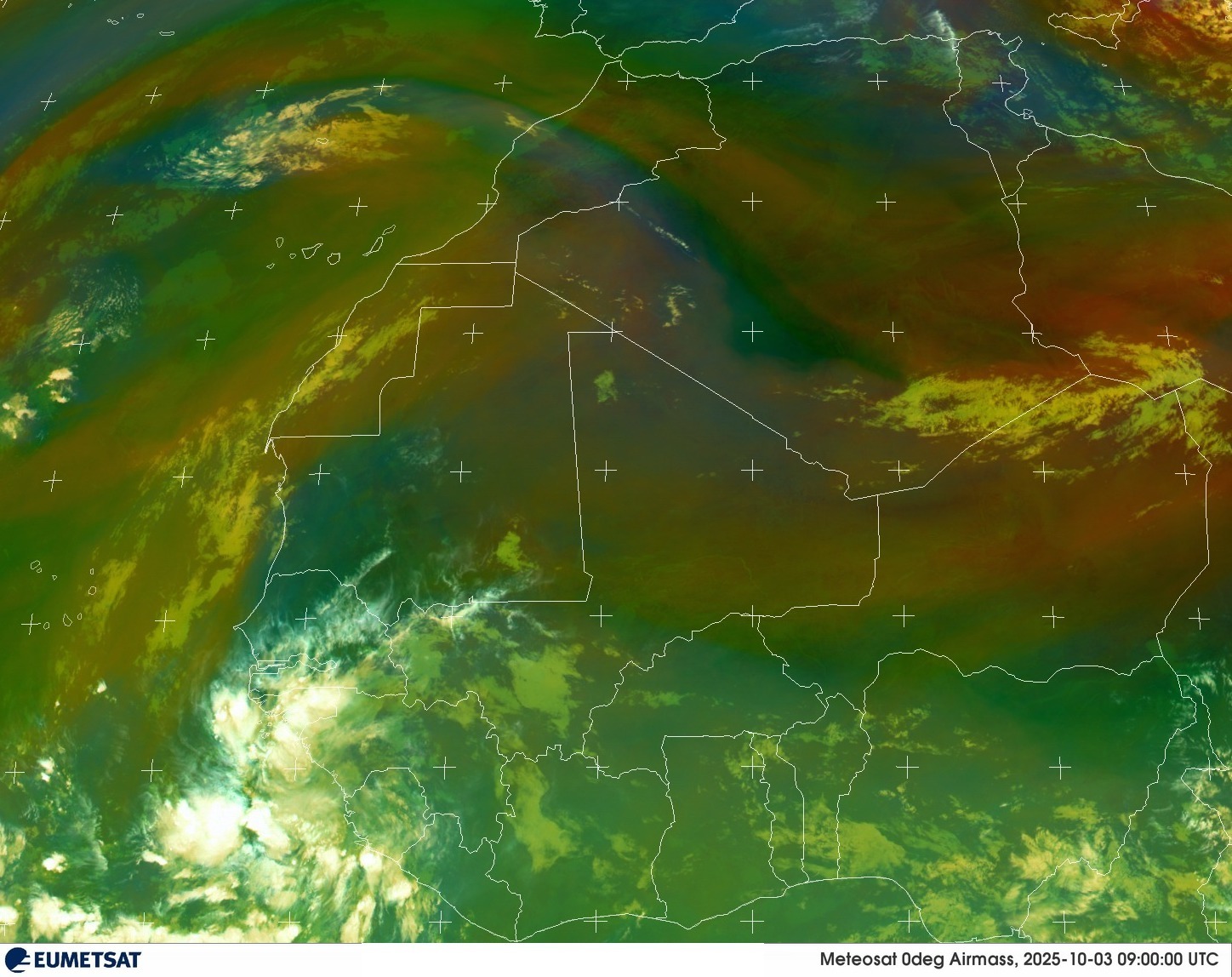 Live Satellite