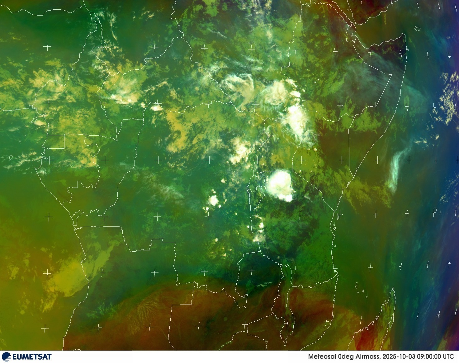 Live Satellite
