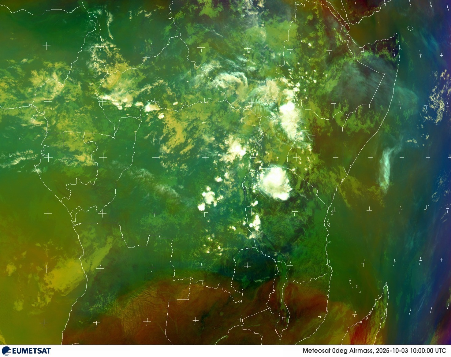 Live Satellite