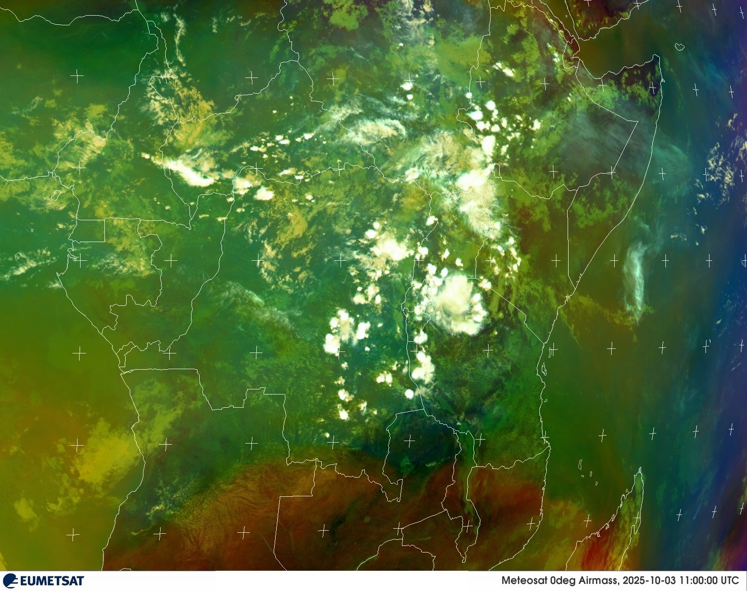 Live Satellite