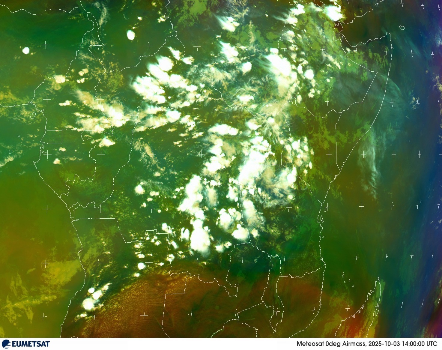 Live Satellite
