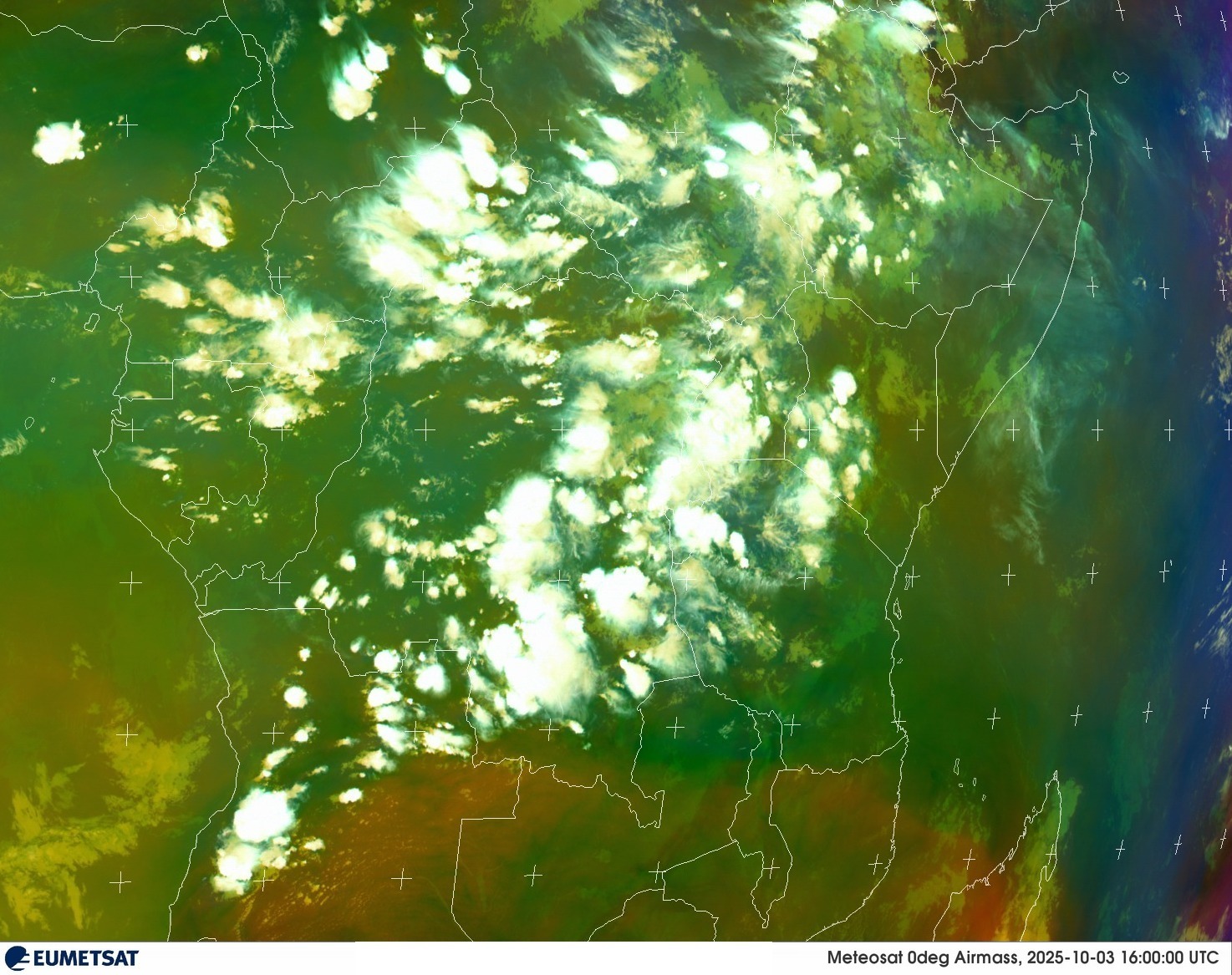 Live Satellite