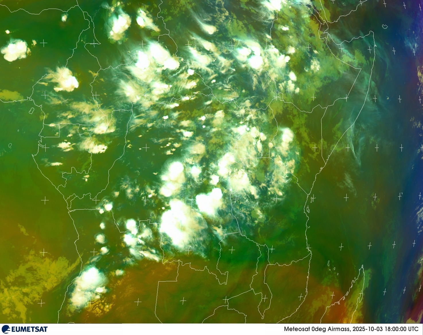 Live Satellite