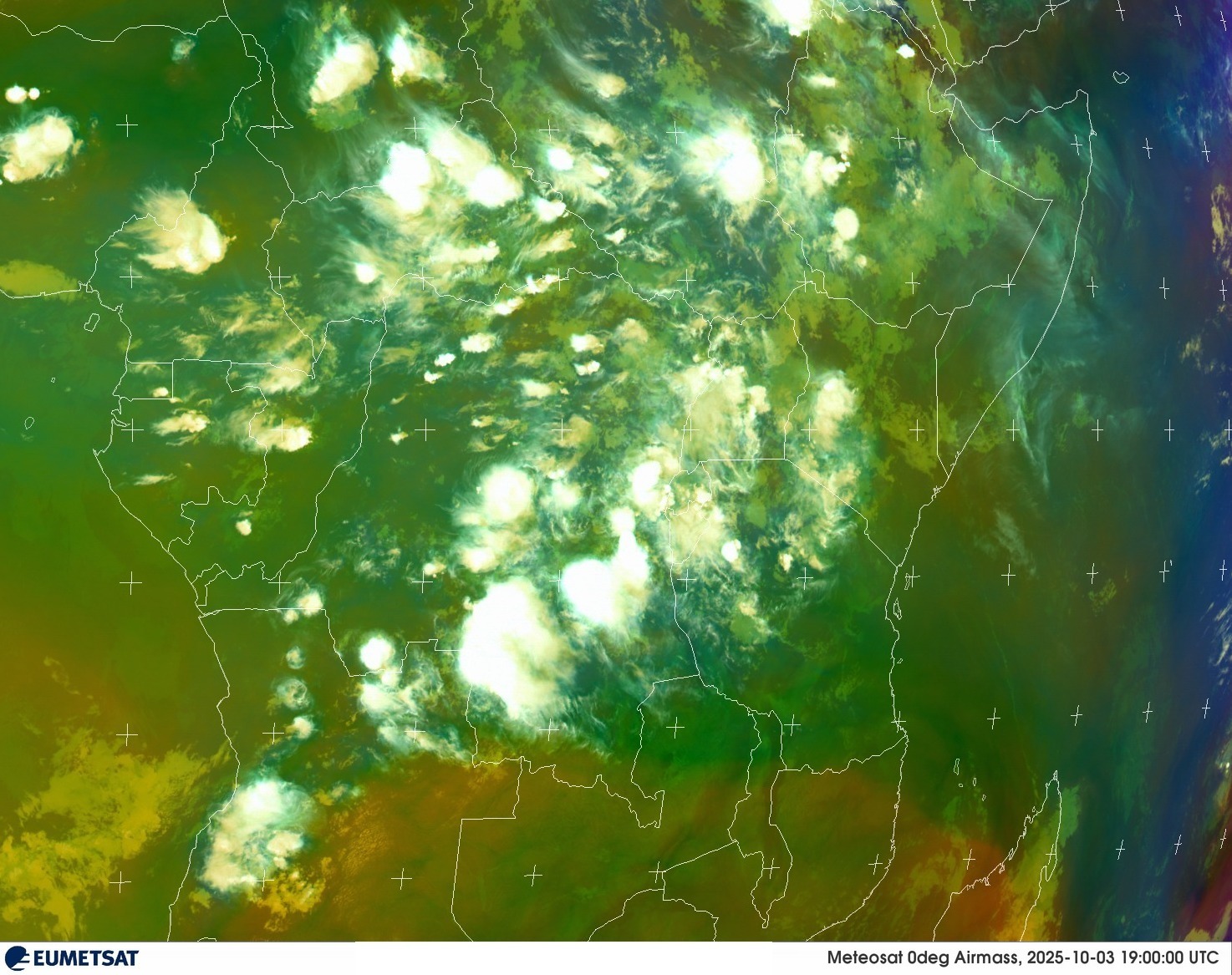 Live Satellite