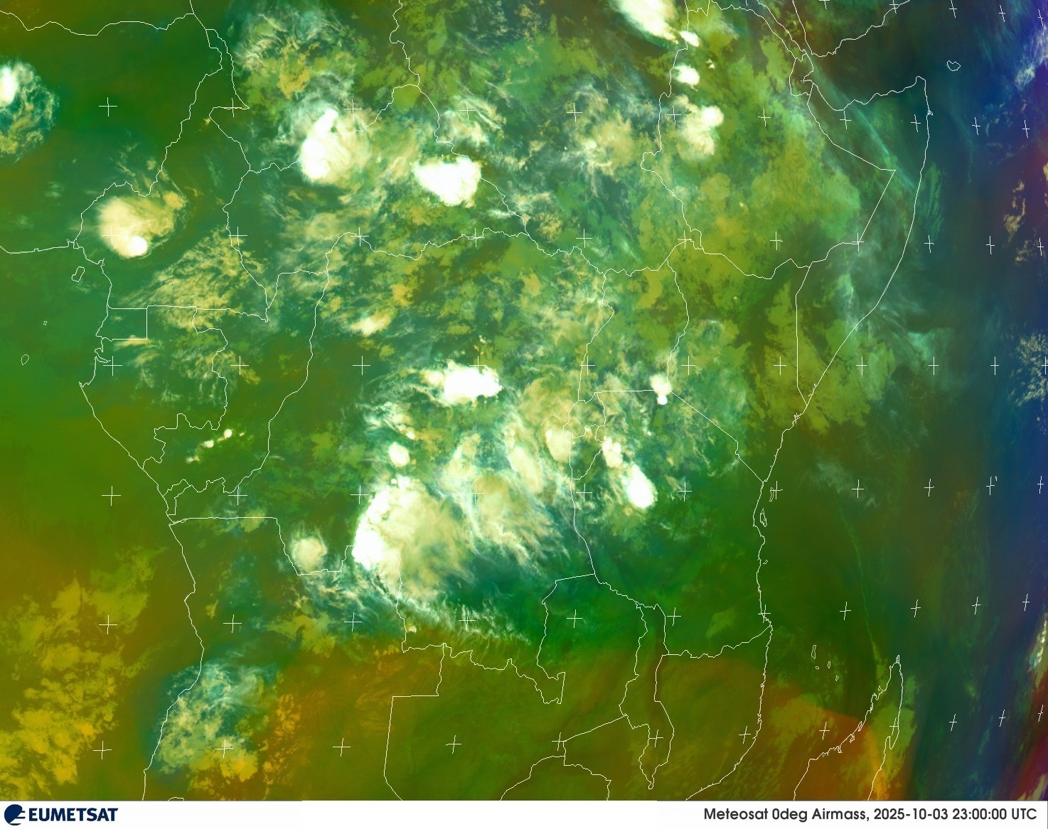 Live Satellite