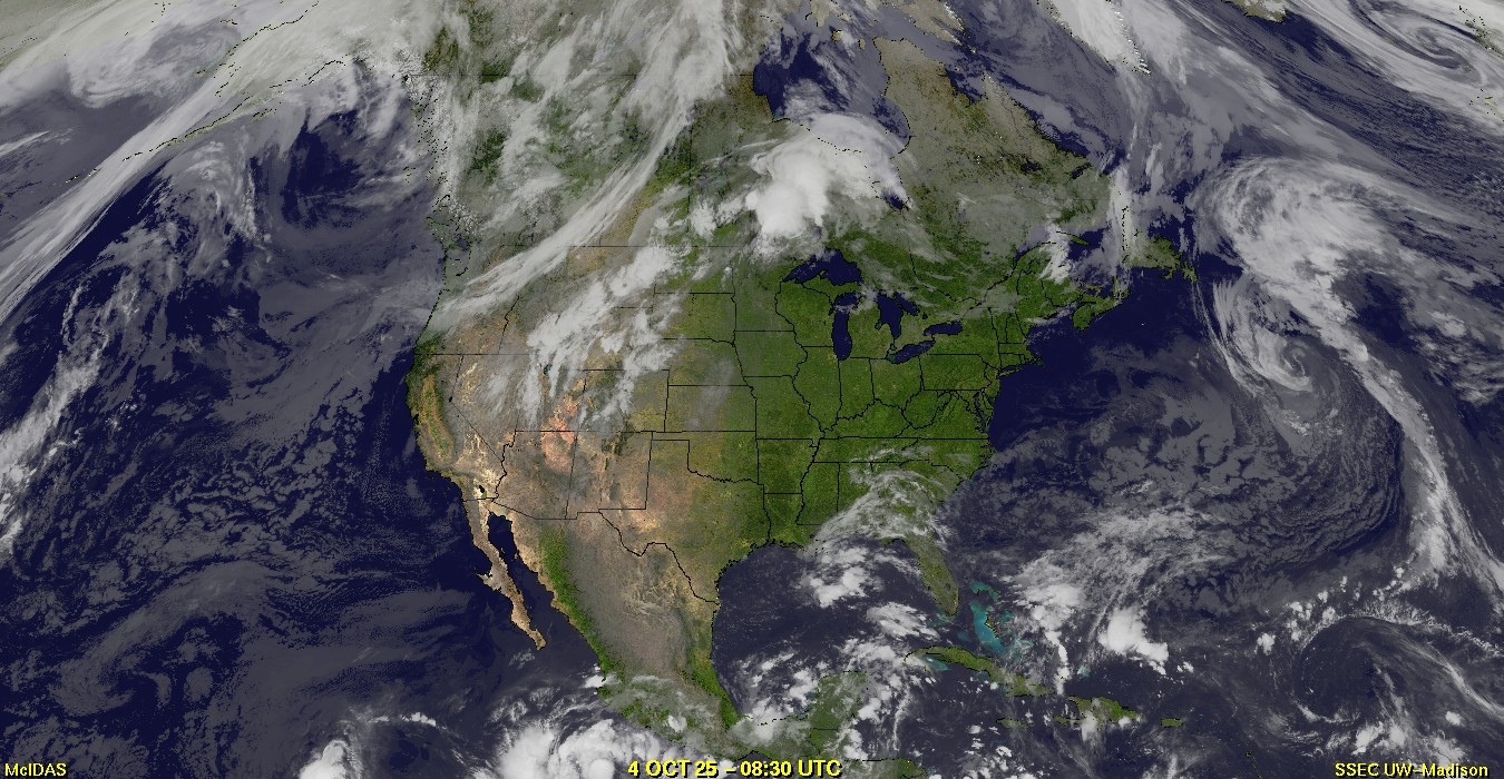 Live Satellite