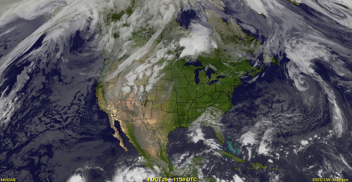 Live Satellite