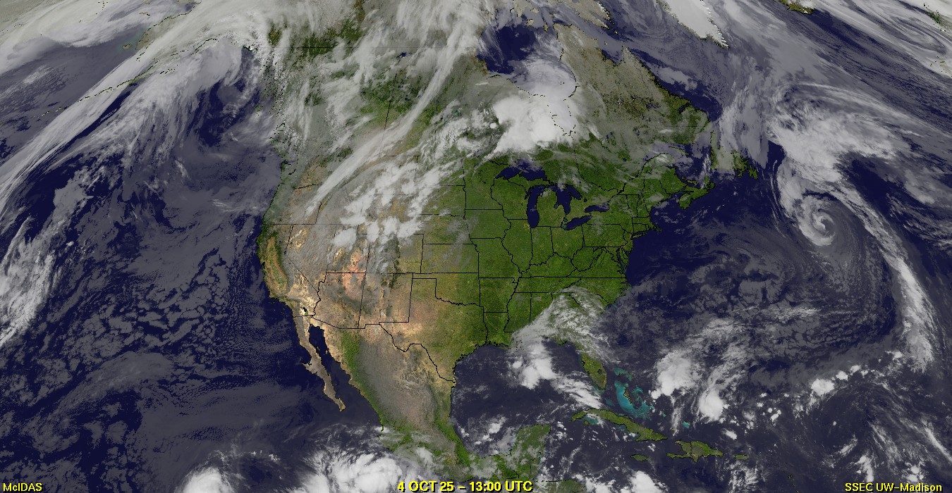 Live Satellite