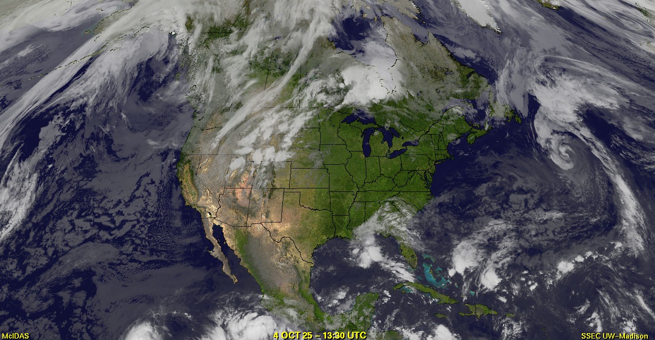 Live Satellite