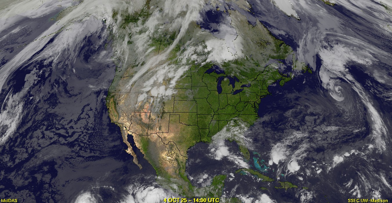 Live Satellite