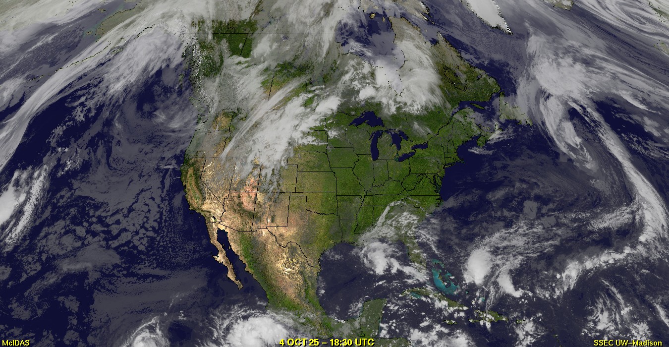 Live Satellite