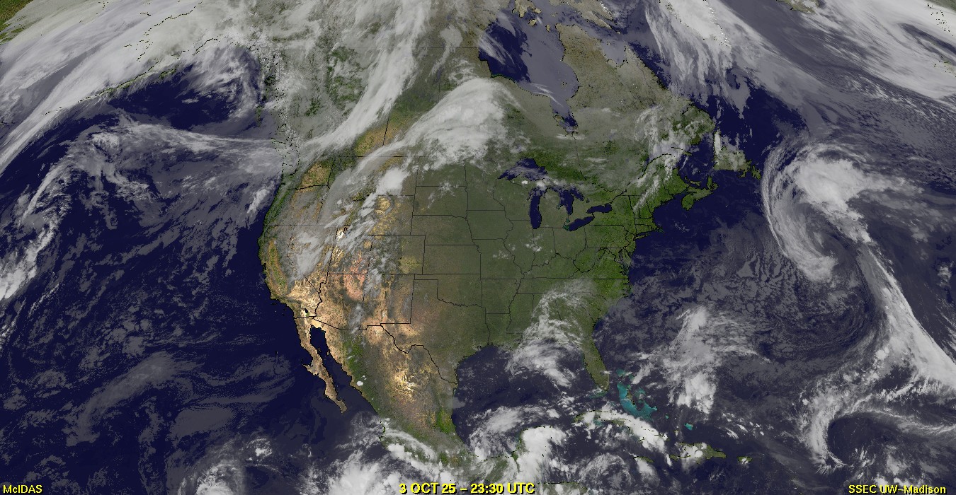 Live Satellite