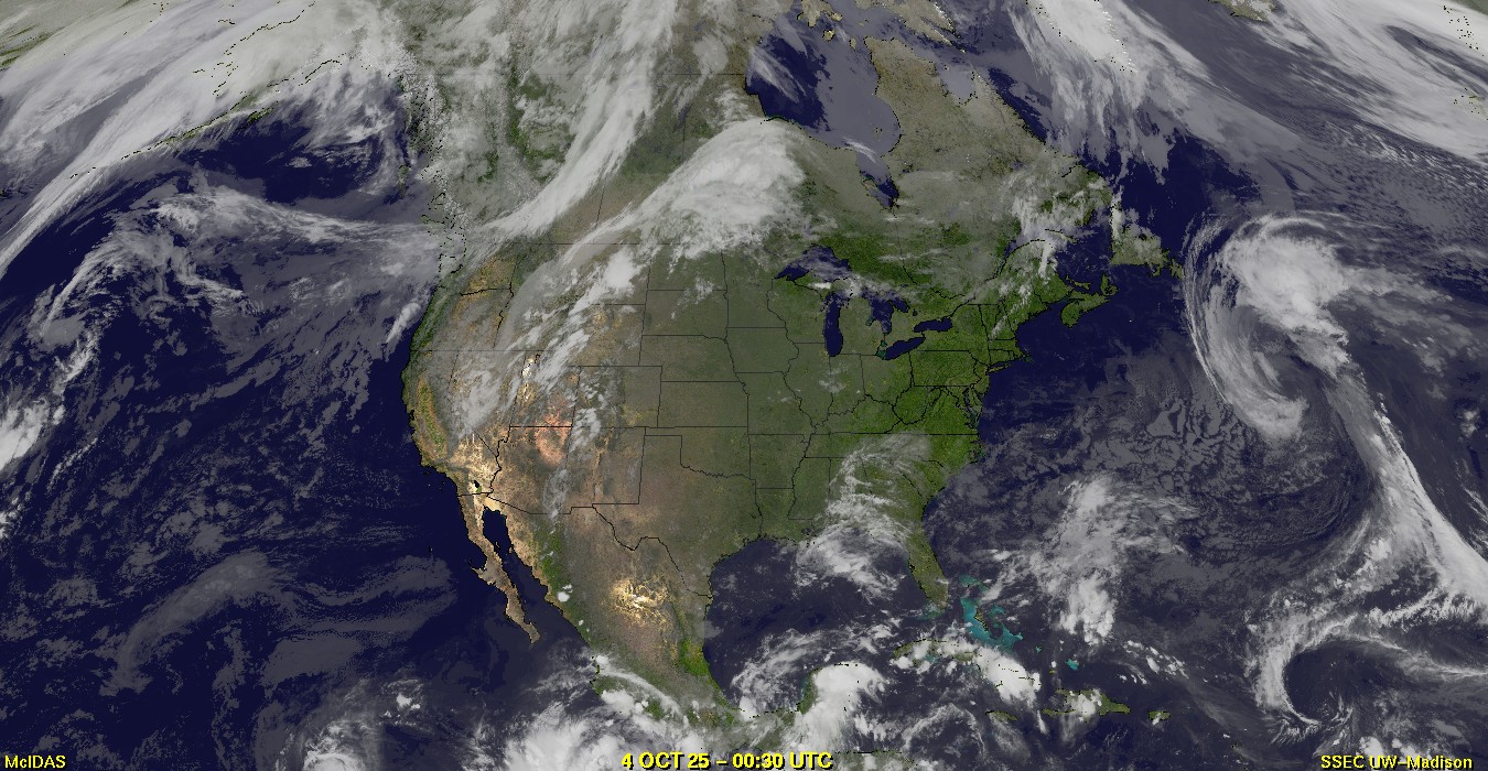 Live Satellite