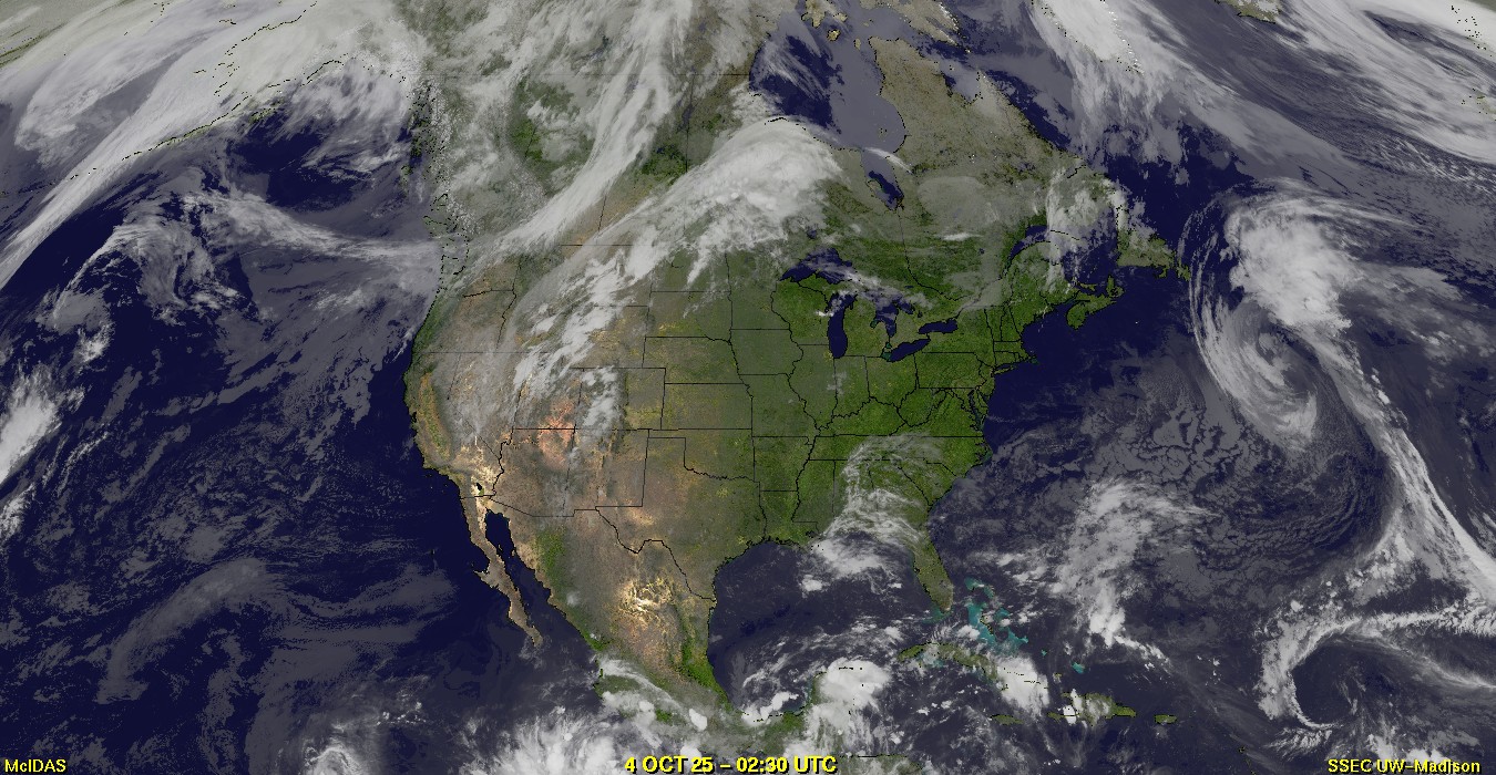 Live Satellite
