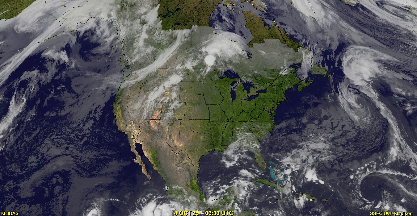 Live Satellite