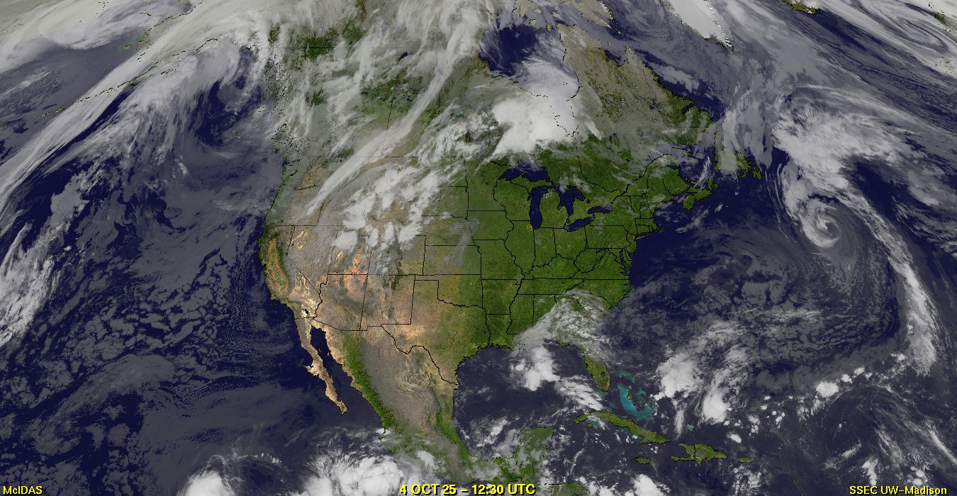 Live Satellite