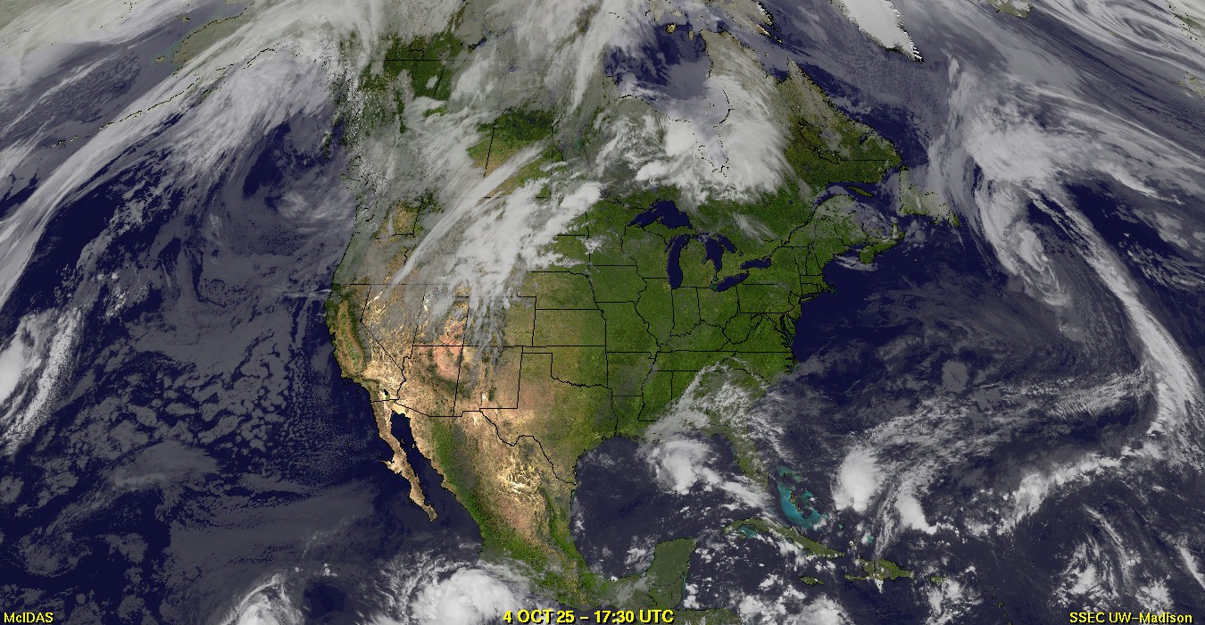 Live Satellite