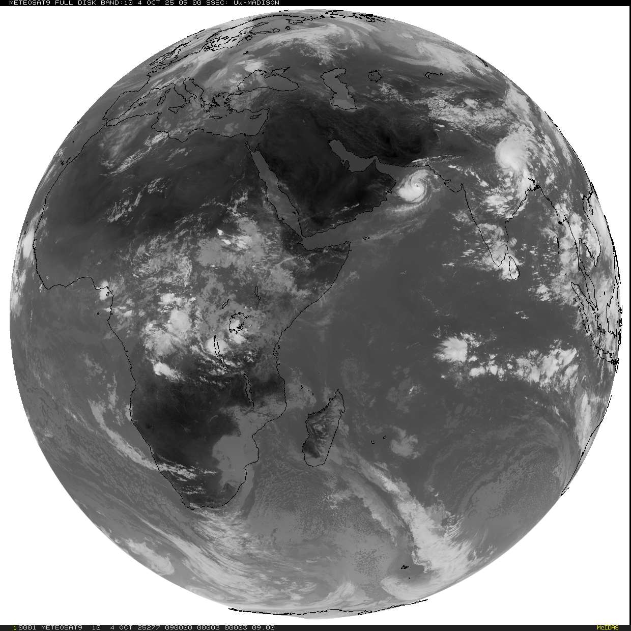 Live Satellite