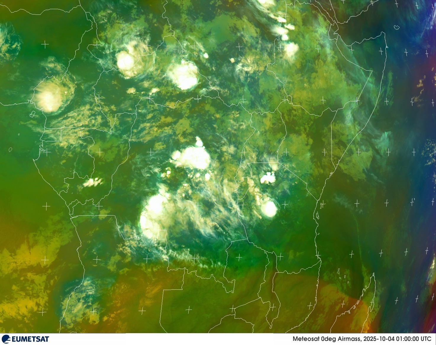 Live Satellite