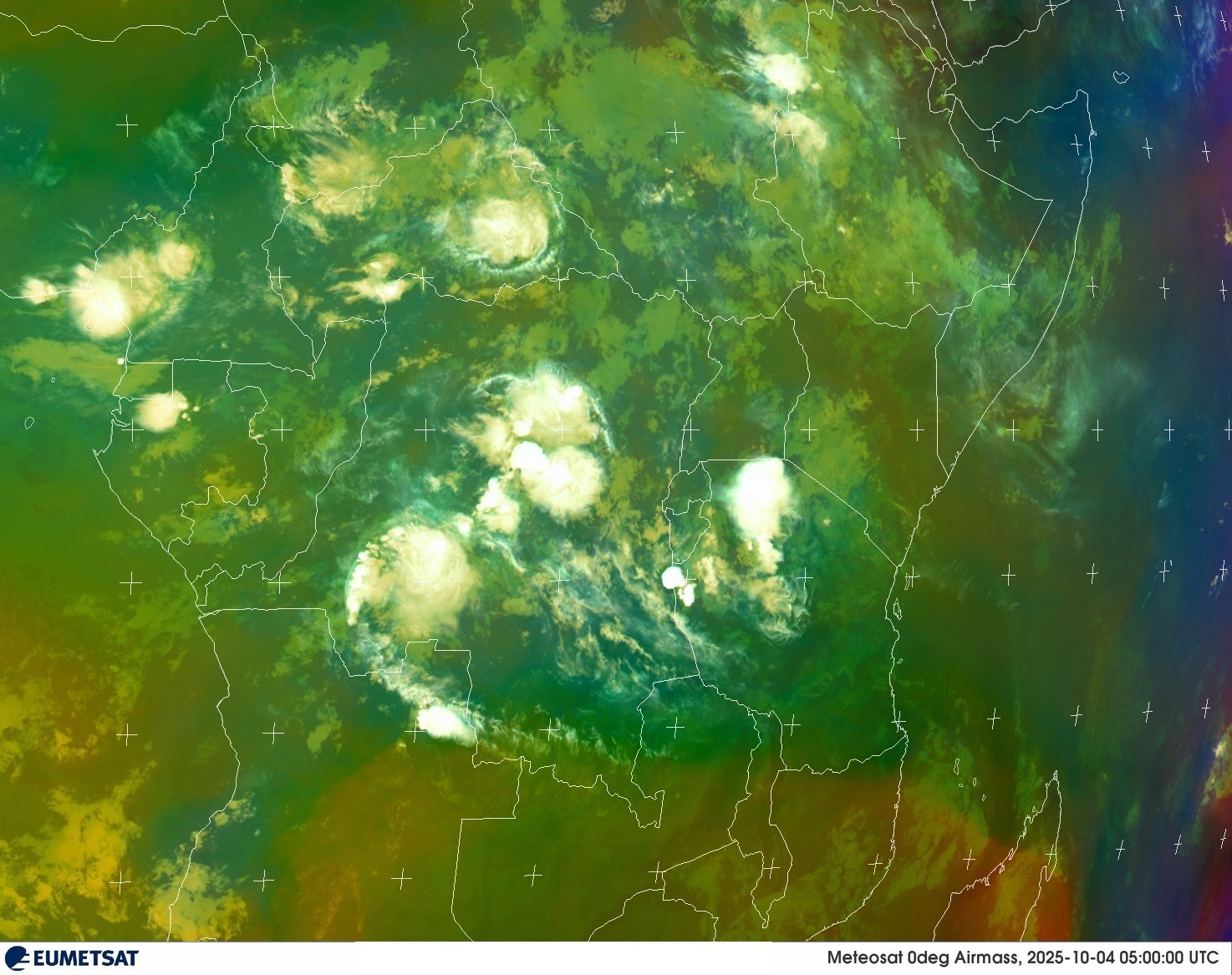 Live Satellite