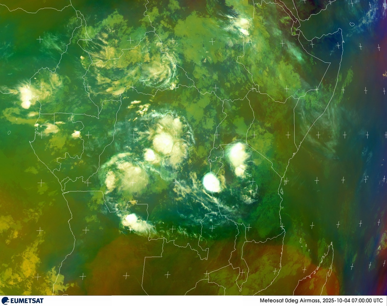 Live Satellite