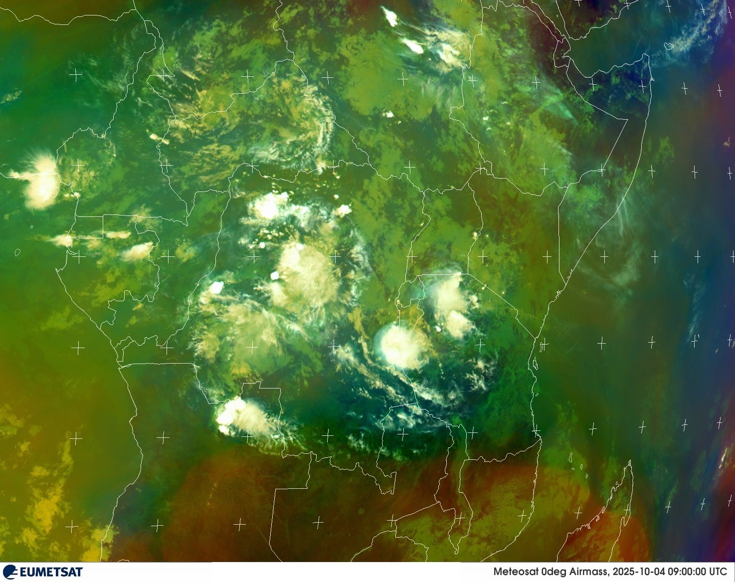 Live Satellite