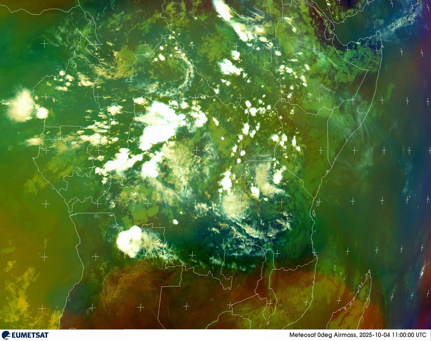 Live Satellite