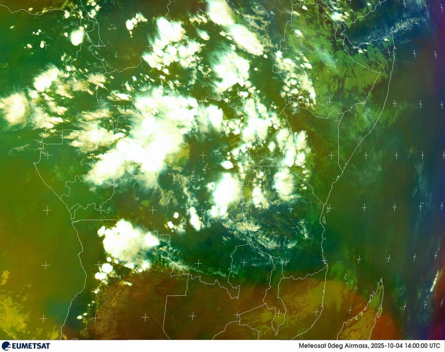 Live Satellite