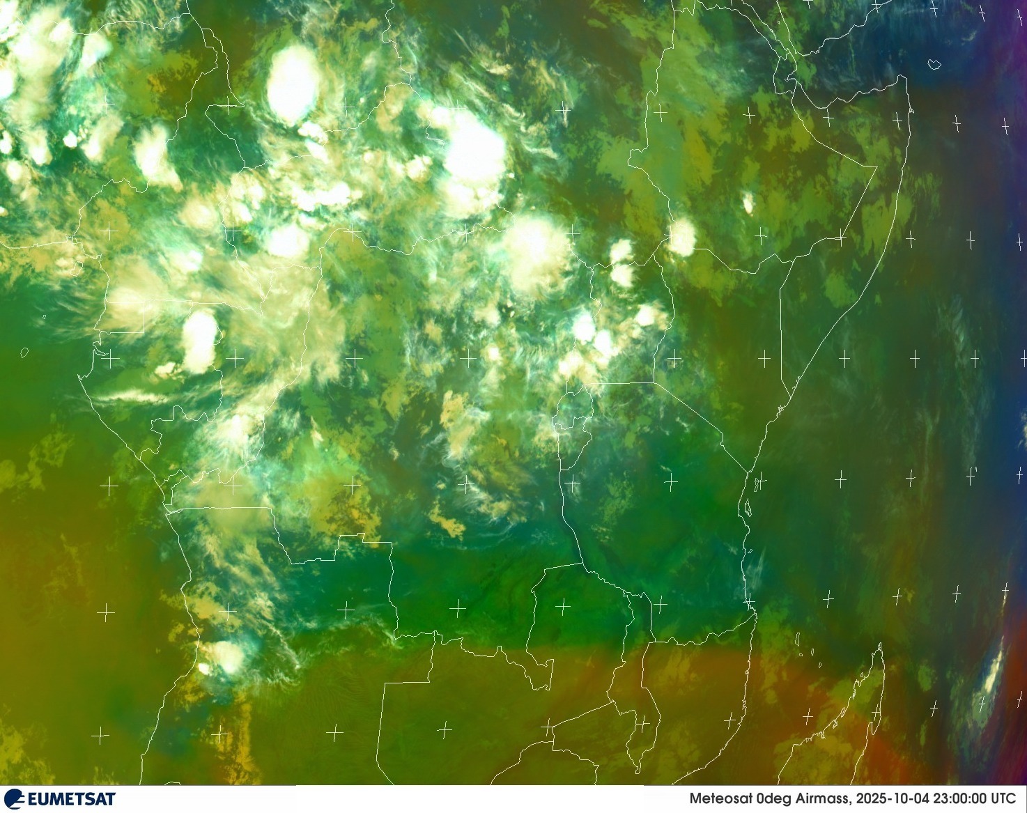 Live Satellite